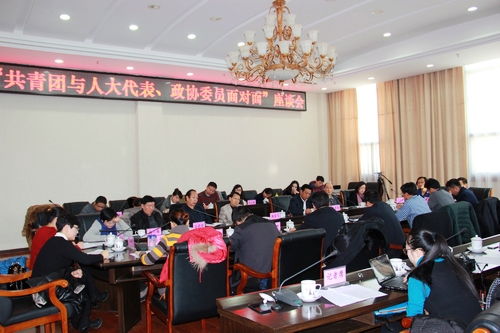 乐平社工参加团省委召开“共青团与人大代表、政协委员面对面”座谈会